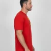 D_NQ_NP_2X_809492-MLA112669803264_062026-F-camiseta-manga-curta-aduulto-vermelha-robin-dc-comics Camiseta Manga Curta Adulto Tradicional Vermelha Robin Silk Screen Manual mlr