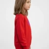Blusa Moletom Flanelado Infantil Corujita Vermelha Menino Menina Estampa Silk Screen Manual High Quality ML