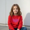 Blusa Moletom Flanelado Infantil Corujita Vermelha Menino Menina Estampa Silk Screen Manual High Quality ML