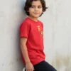 Camiseta Manga Curta Infantil Robin mlc