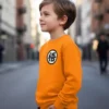 Moletom Algodão Flanelado Infantil Dragon Ball Silk Screen mlr