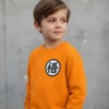 Moletom Algodão Flanelado Infantil Dragon Ball Silk Screen mlr