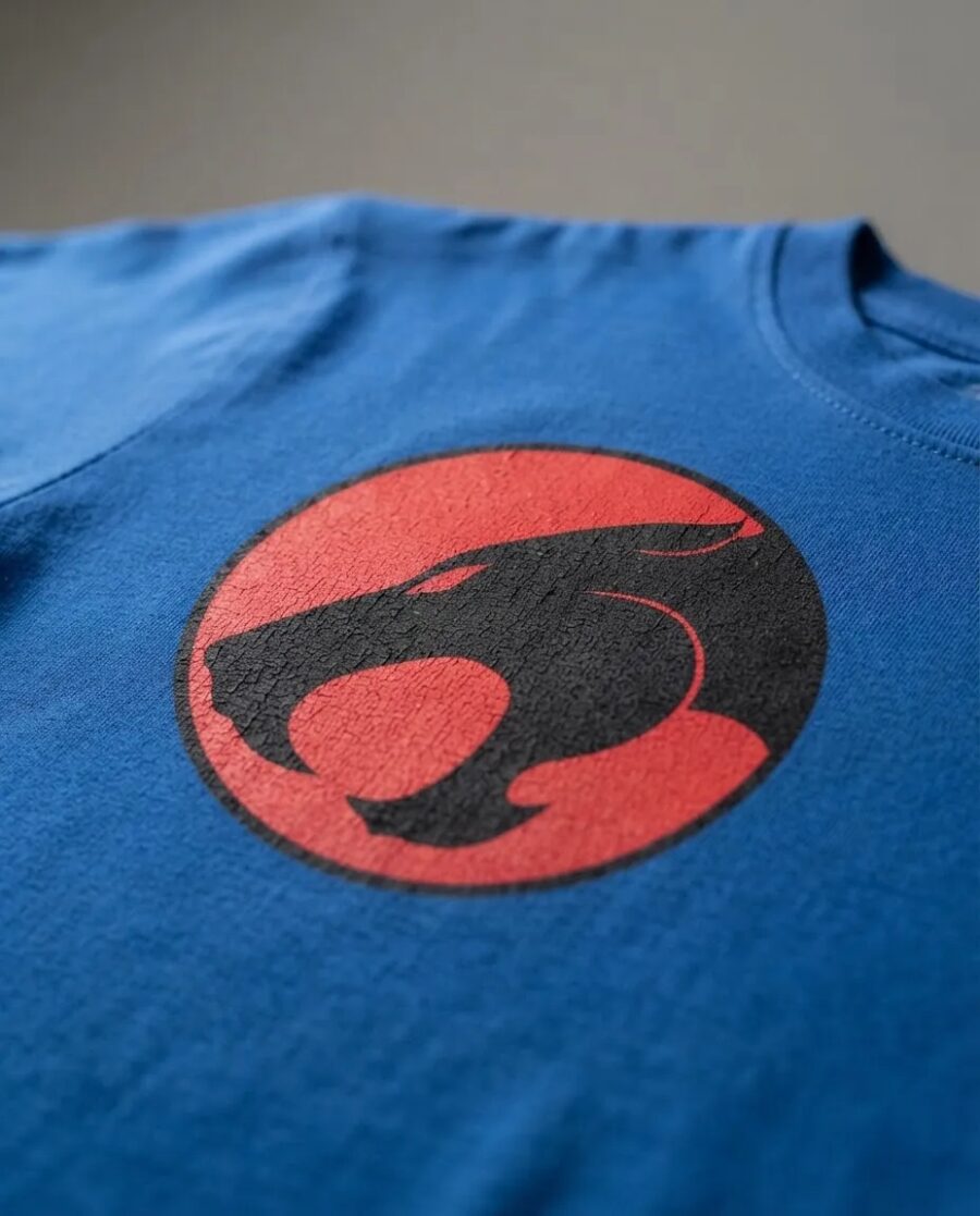 D_NQ_NP_2X_849309-MLA114863146054_082026-F-camiseta-azul-manga-curta-adulto-unissex-thundercats Camiseta Azul Manga Curta Adulto Unissex Thundercats mlc
