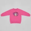 Moletom Algodão Flanelado Infantil Rosa Amy Rose Sonic mlc
