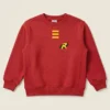 Moletom Vermelho Flanelado Infantil Robin Dc Comics spe