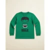 Camiseta Manga Longa Infantil Unissex Incrivel Hulk Verde spe
