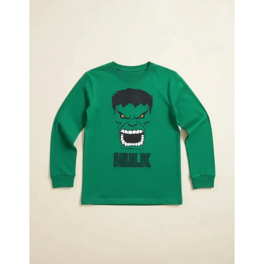 Camiseta Manga Longa Infantil Unissex Incrivel Hulk Verde spe