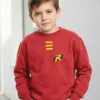 Moletom Vermelho Flanelado Infantil Robin Dc Comics spe