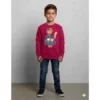 Moletom Cores Infantil Unissex Blippi Blusa de Frio Personagem Youtuber spe