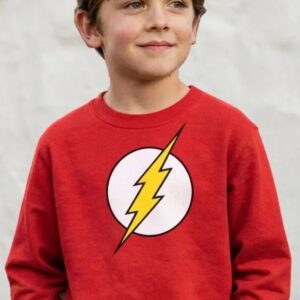 1 Moletom Flanelado Infantil The Flash Dc Comics mlc
