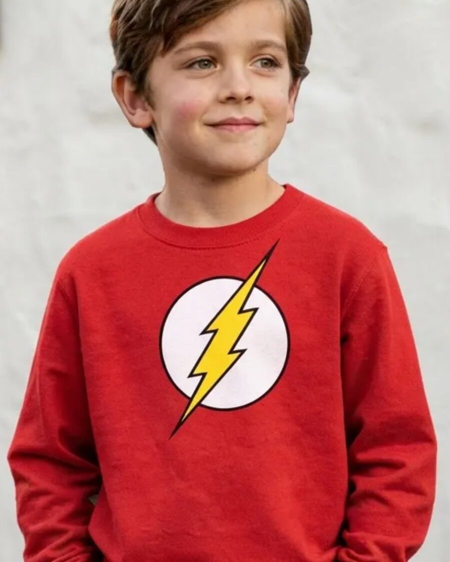 Moletom Flanelado Infantil The Flash Dc Comics mlc
