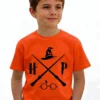 1 Camiseta Laranja Infantil Unissex Harry Potter mlc
