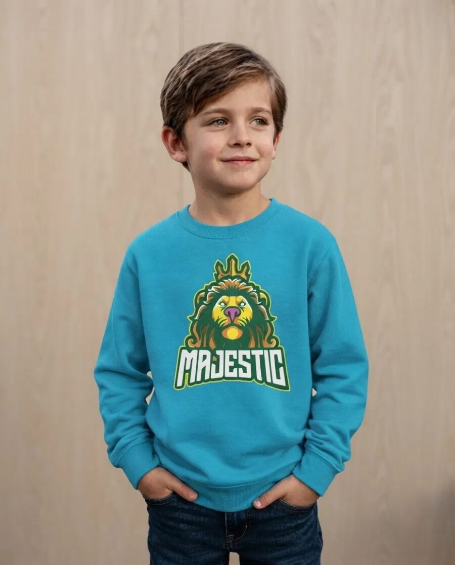 Moletom Azul Turquesa Flanelado Lucas Neto Majestic Filme Infantil mlr