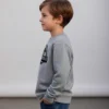 Moletom Flanelado Jurassic World Silhueta Cinza Infantil
